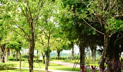 NHÀ PHỐ GÓC VIEW SÔNG ĐỒNG NAI 223M2 GIÁ CẮT LỖ CHỈ 12.9 TỶ