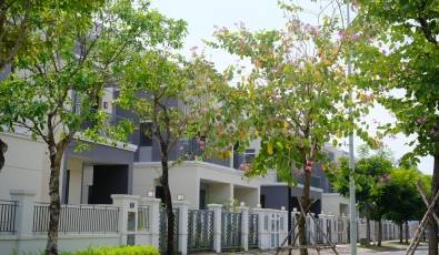 NHÀ PHỐ GÓC VIEW SÔNG ĐỒNG NAI 223M2 GIÁ CẮT LỖ CHỈ 12.9 TỶ