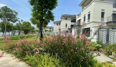 BIỆT THỰ AQUA CITY 8M X 20M ĐƯỜNG THÔNG, GIÁ 8.5TỶ!!! ĐỈNH CAO HÀNG "NGỘP" CHỈ 1 CĂN!