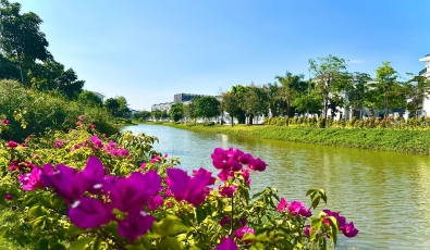 BIỆT THỰ MẶT TIỀN ĐƯỜNG LỚN 19 MÉT, CỔNG SAU TTTM NOVA MALL